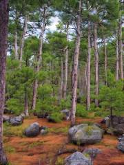 Muotkatunturi Wilderness Area