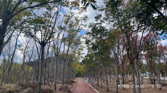 新河口湖濱公園