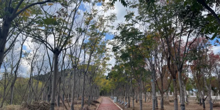 新河口湖濱公園