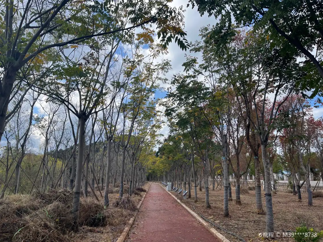 Hotels near Xinhekou Lake Garden