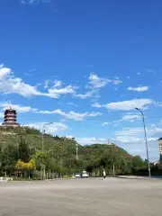 樂都螞蟻山公園