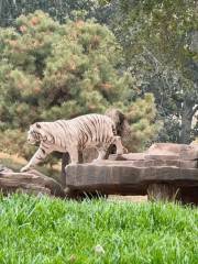 珍稀動物館