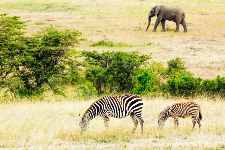 Hotels near Undafaqo