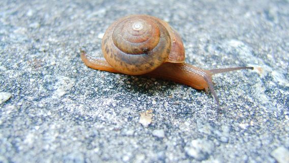 Huntington Beach State Park