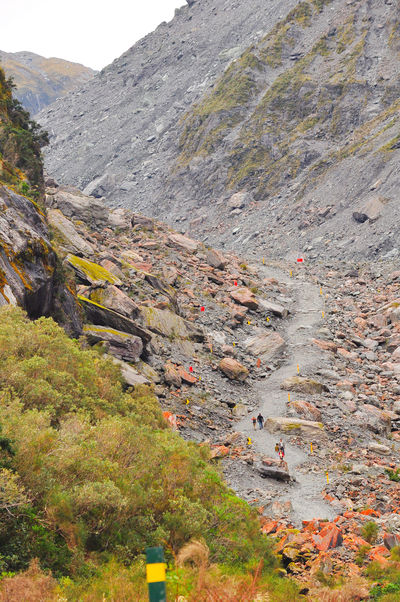 Franz Josef Glacier/Kā Roimata o Hine Hukatere Walk