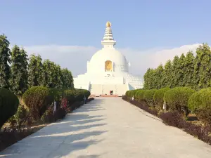 월드 피스 파고다