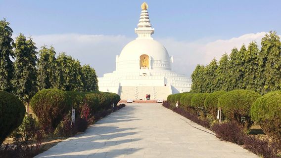 World Peace Pagoda