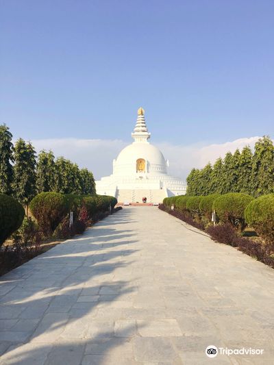 World Peace Pagoda