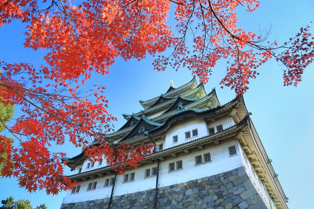 名古屋10大賞秋好去處