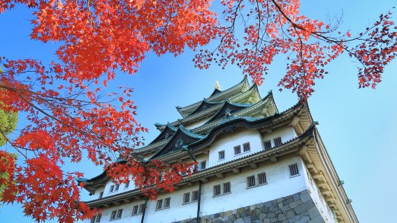 犬山市日遊