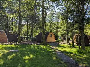 Eskdale National Trust Campsite