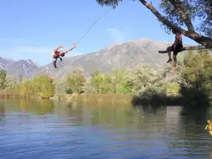 Mona Rope Swing