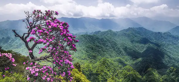 Hotels in Nanjiang
