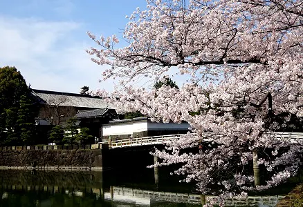 Giardino Nazionale Kokyo Gaien