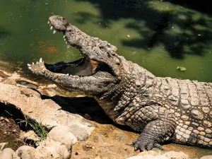 La Vanille Nature Park
