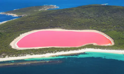 Pink Lake