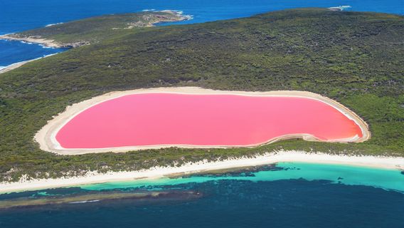 ทะเลสาบสีชมพู