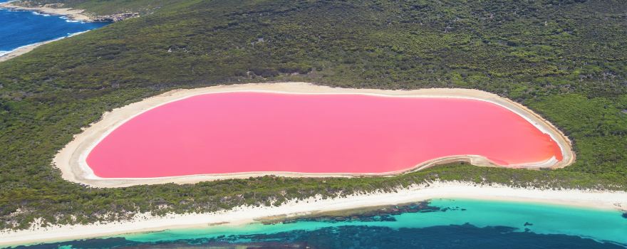 Pink Lake