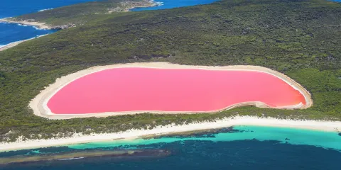 粉色湖泊