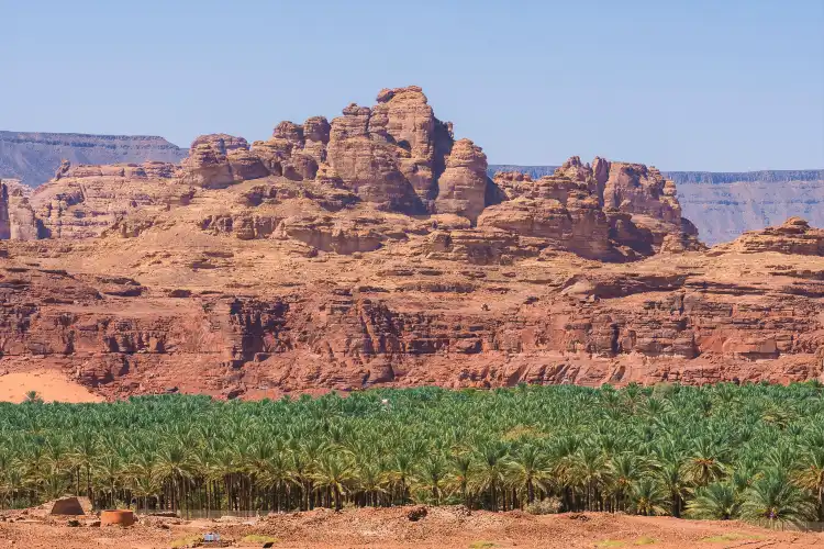 العلا