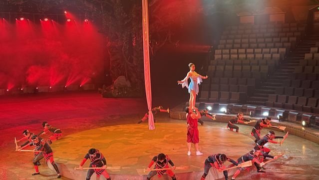 kong que gong zhu da ju yuan - xin dai xiu