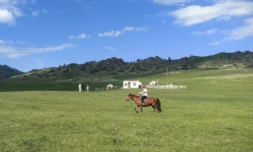 阿勒泰地區騎馬