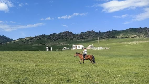 Horse Riding in Altay region