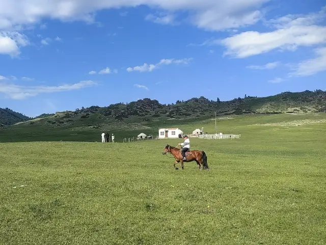 阿勒泰地區騎馬