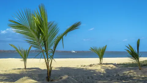 Belas travel destination