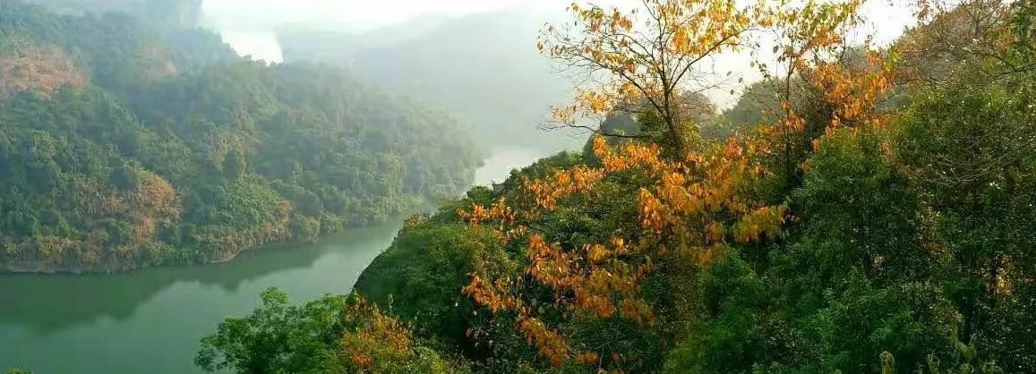 Fall Viewing Attractions
