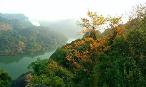 Tao Yuan Cave