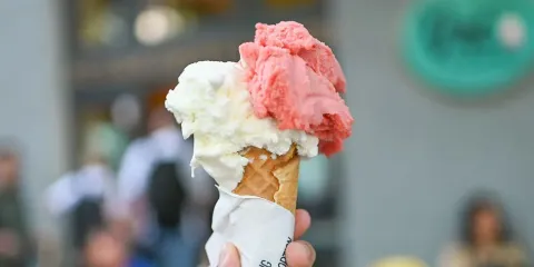 Duo Sicilian Ice Cream