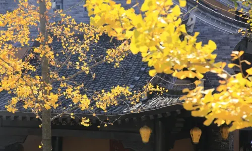 棣花鎮