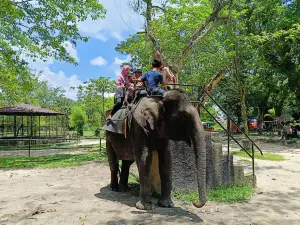 Kasang Kulim Zoo