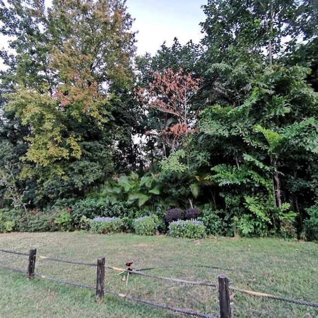 《假日親子好去處》好玩靚景公園