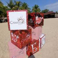 Camaya Coast