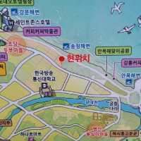 안목? 경포? 송정해변으로 오세요!!