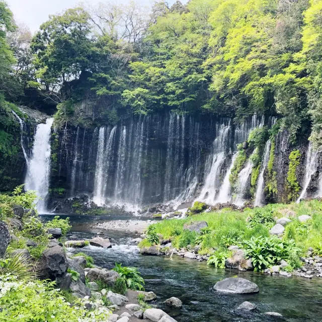 【富士宮】白糸の滝で大自然を感じよう