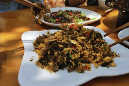 山村饭店.特色全竹宴