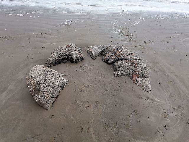 Moeraki Boulders