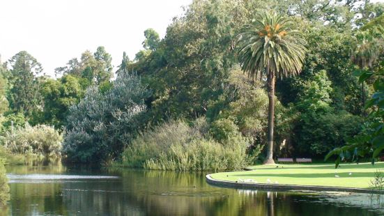 主要是圍繞阿爾伯特湖修建的公園，園內環境自然清新，樹木茂盛，