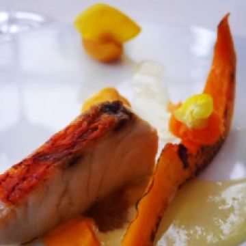 ESqUISSE用戶圖片