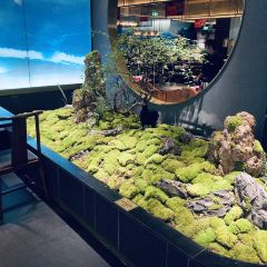 桂小廚廣西菜（萬象城店）張用戶圖片