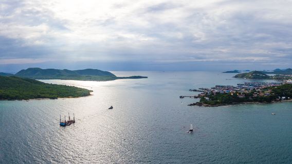대우산섬 + 빛과 그림자 판자길 + 화주 마을 + 동벽 일일 투어