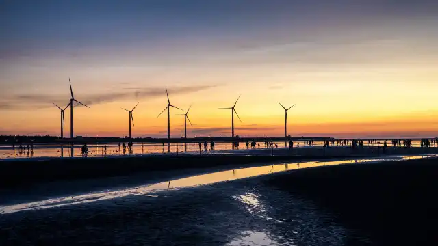 高美濕地