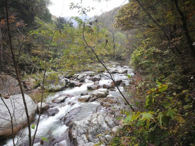 黃柏原