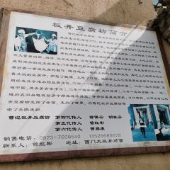 大板井 User Photo