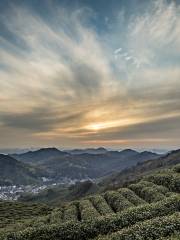 西湖龍井茶文化景區