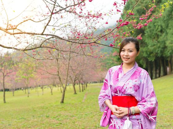 桜花博覧園