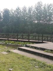 Shuiti Park